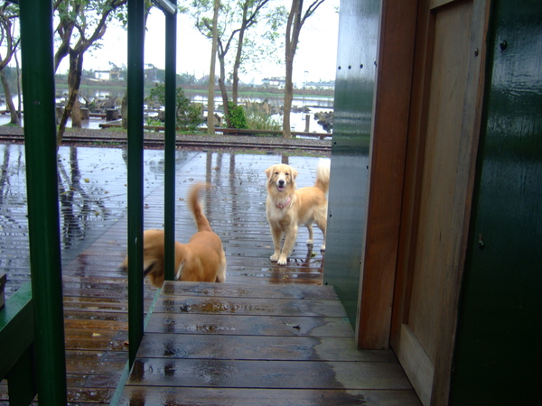 DSCF0510.JPG