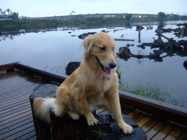 DSCF0519.JPG