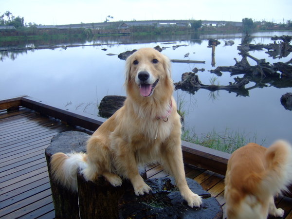 DSCF0520.JPG