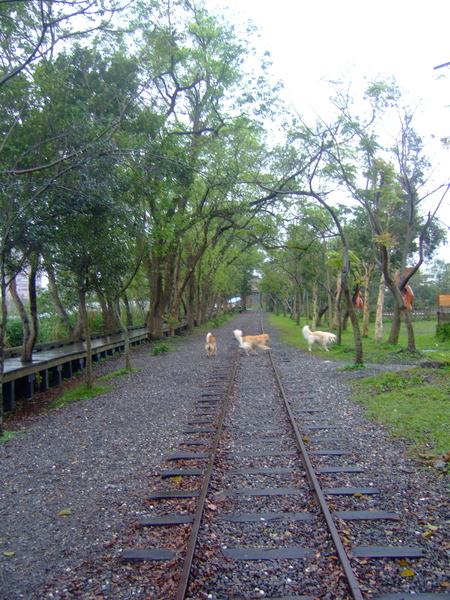 DSCF0531.JPG