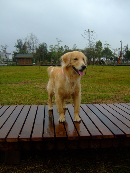 DSCF0560.JPG