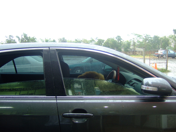 DSCF0572.JPG