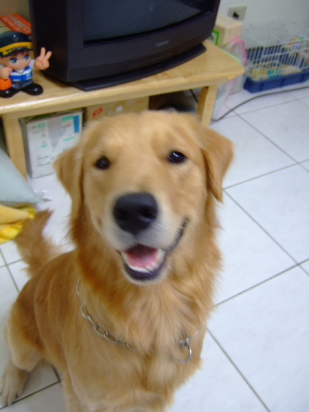 DSCF0751.JPG