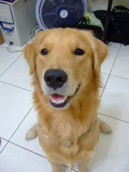 DSCF0752.JPG
