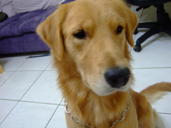 DSCF0754.JPG