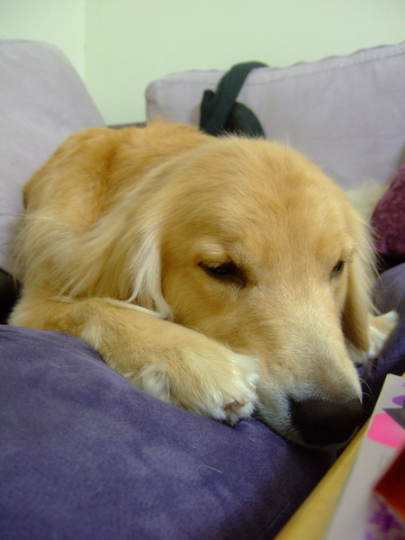 DSCF0973.JPG