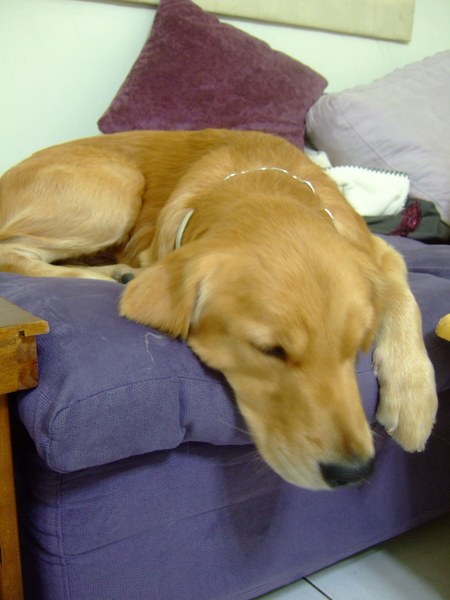 DSCF0974.JPG