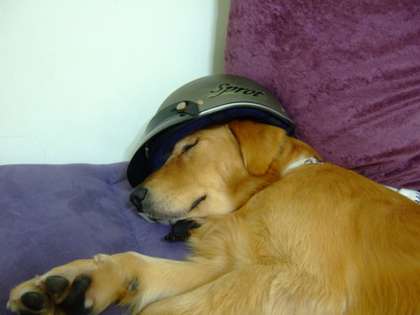 DSCF0979.JPG