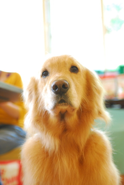 DSC_0158.JPG
