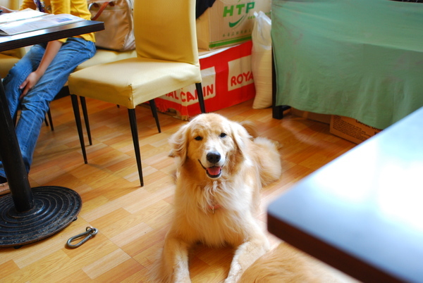 DSC_0165.JPG
