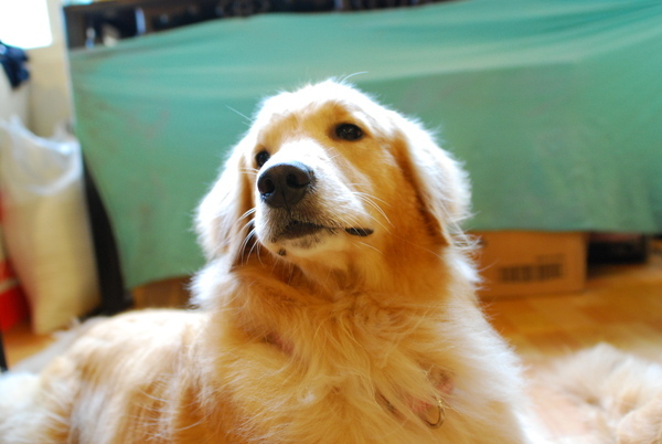 DSC_0169.JPG