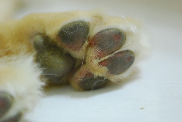 DSC_0212.JPG
