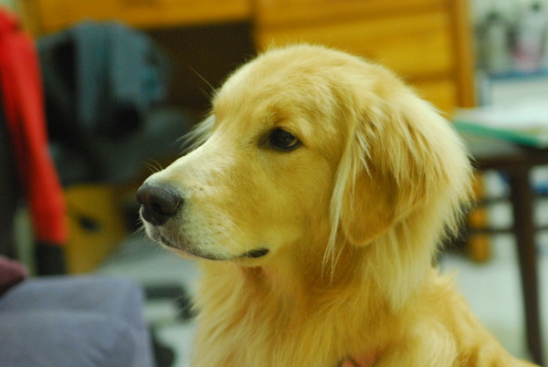 DSC_0002.JPG