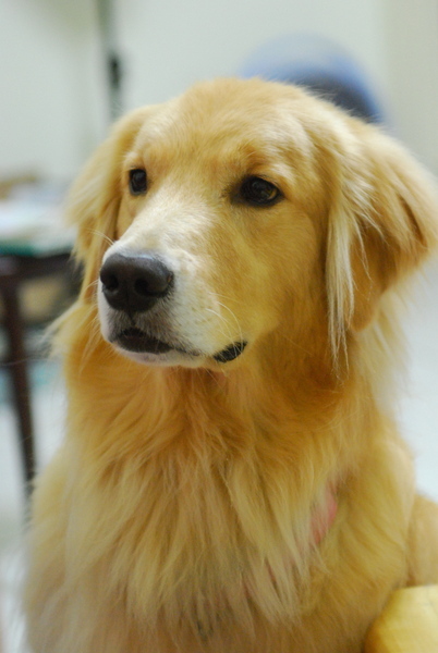 DSC_0006.JPG