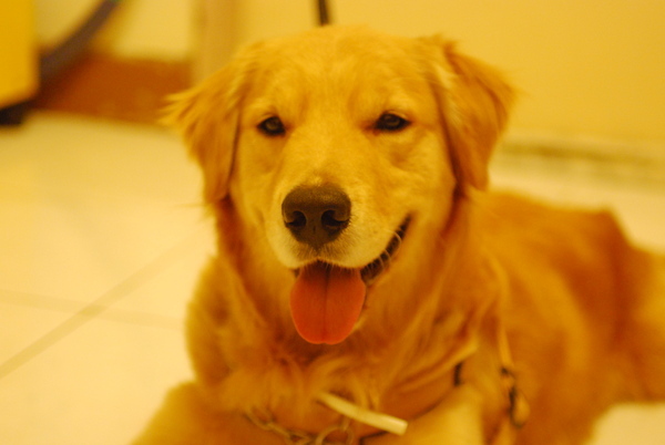 DSC_0106.JPG