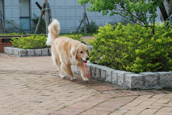 DSC_0017.JPG