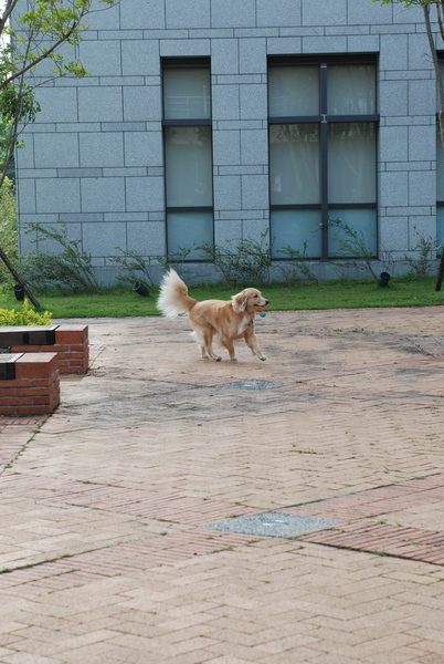 DSC_0020.JPG