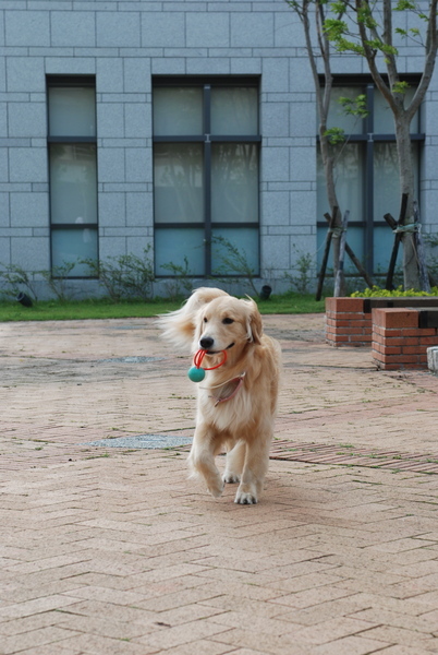 DSC_0022.JPG