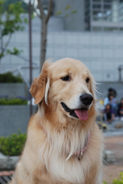 DSC_0024.JPG
