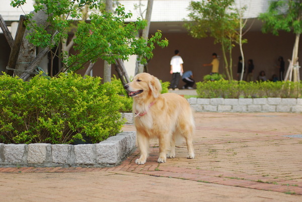 DSC_0042.JPG