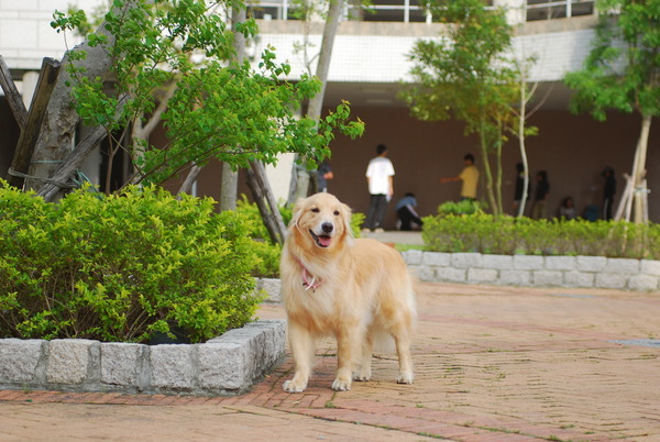 DSC_0043.JPG