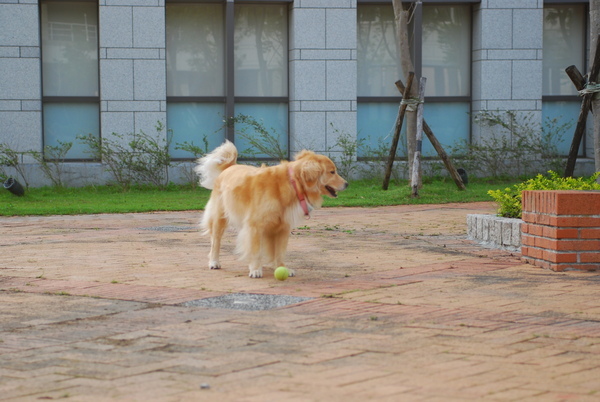 DSC_0045.JPG