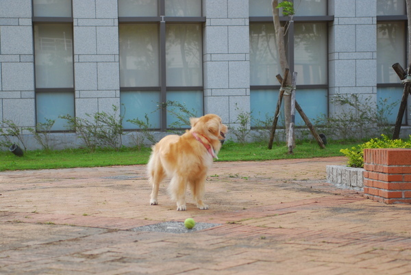 DSC_0046.JPG
