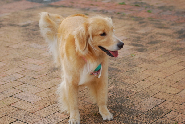 DSC_0054.JPG