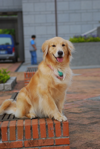 DSC_0055.JPG