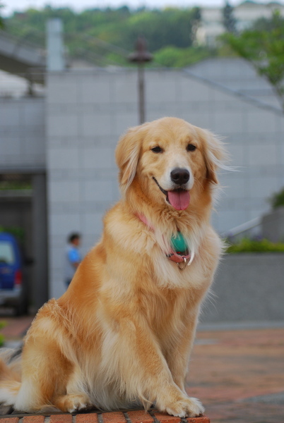 DSC_0057.JPG