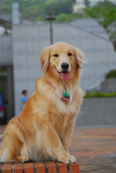 DSC_0058.JPG
