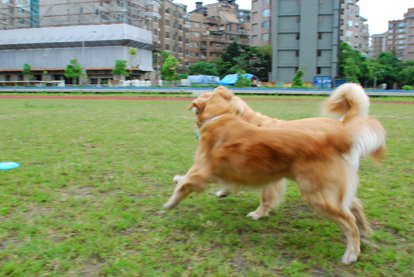 DSC_0048.JPG