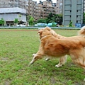DSC_0048.JPG