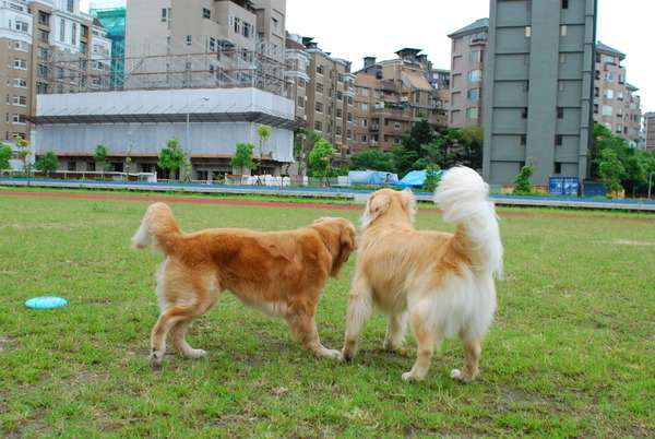 DSC_0049.JPG