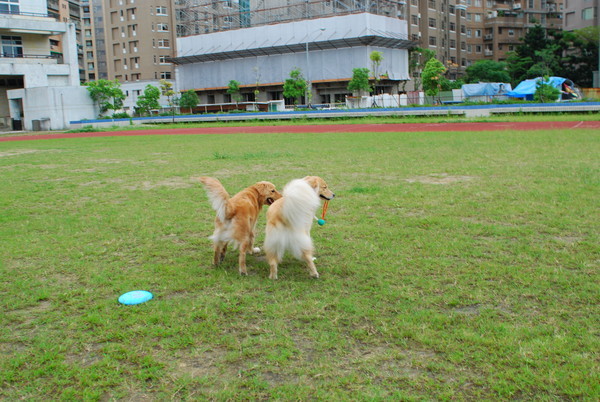 DSC_0051.JPG