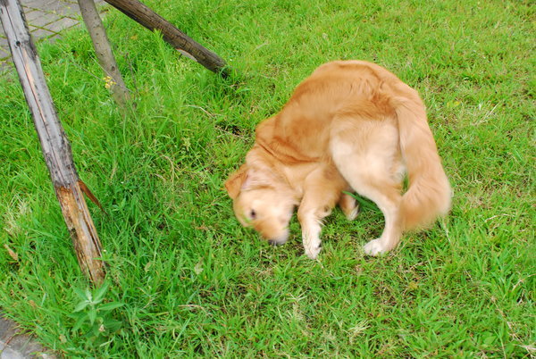 DSC_0064.JPG