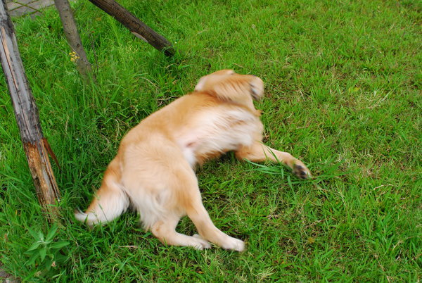 DSC_0069.JPG