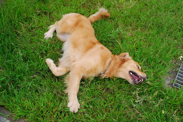 DSC_0073.JPG