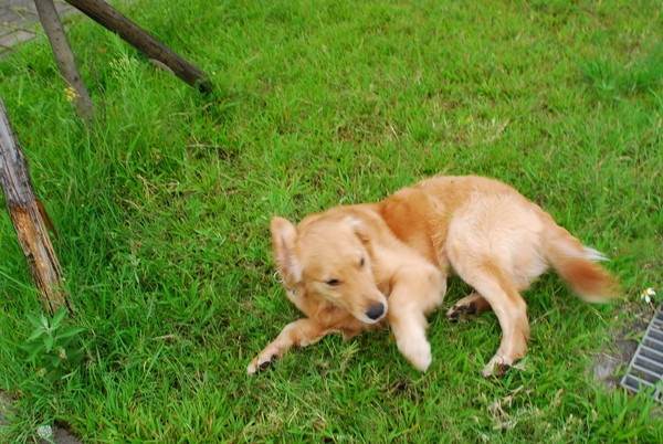 DSC_0075.JPG