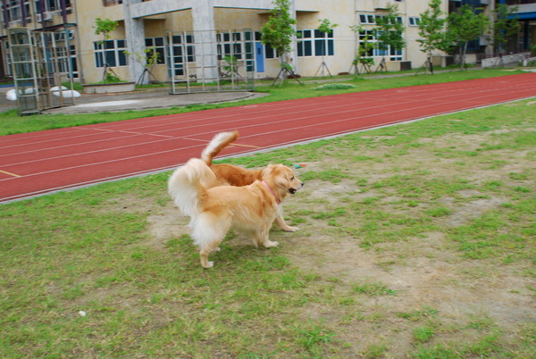 DSC_0076.JPG
