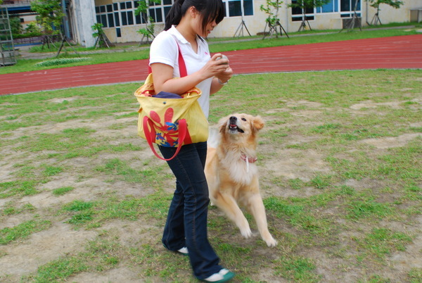 DSC_0106.JPG