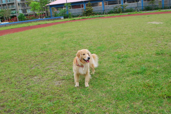 DSC_0121.JPG