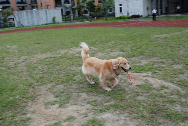 DSC_0125.JPG