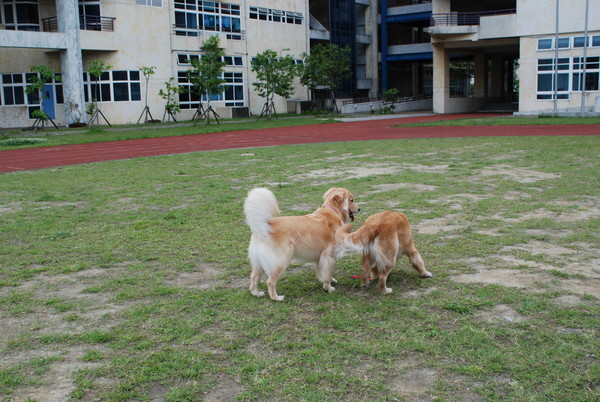 DSC_0127.JPG