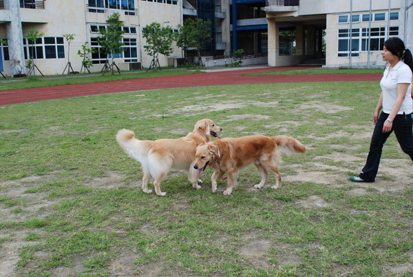 DSC_0129.JPG