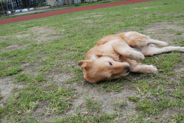DSC_0143.JPG