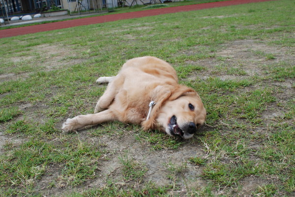 DSC_0144.JPG