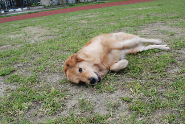 DSC_0145.JPG