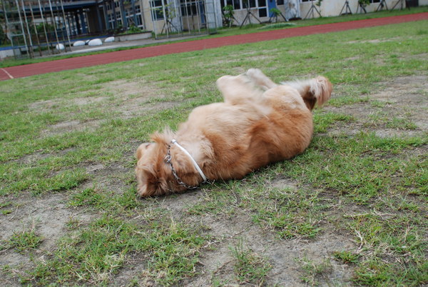 DSC_0146.JPG