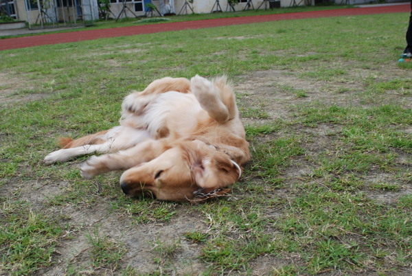 DSC_0148.JPG